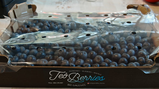 Caja de arandanos premium 1 Kg
