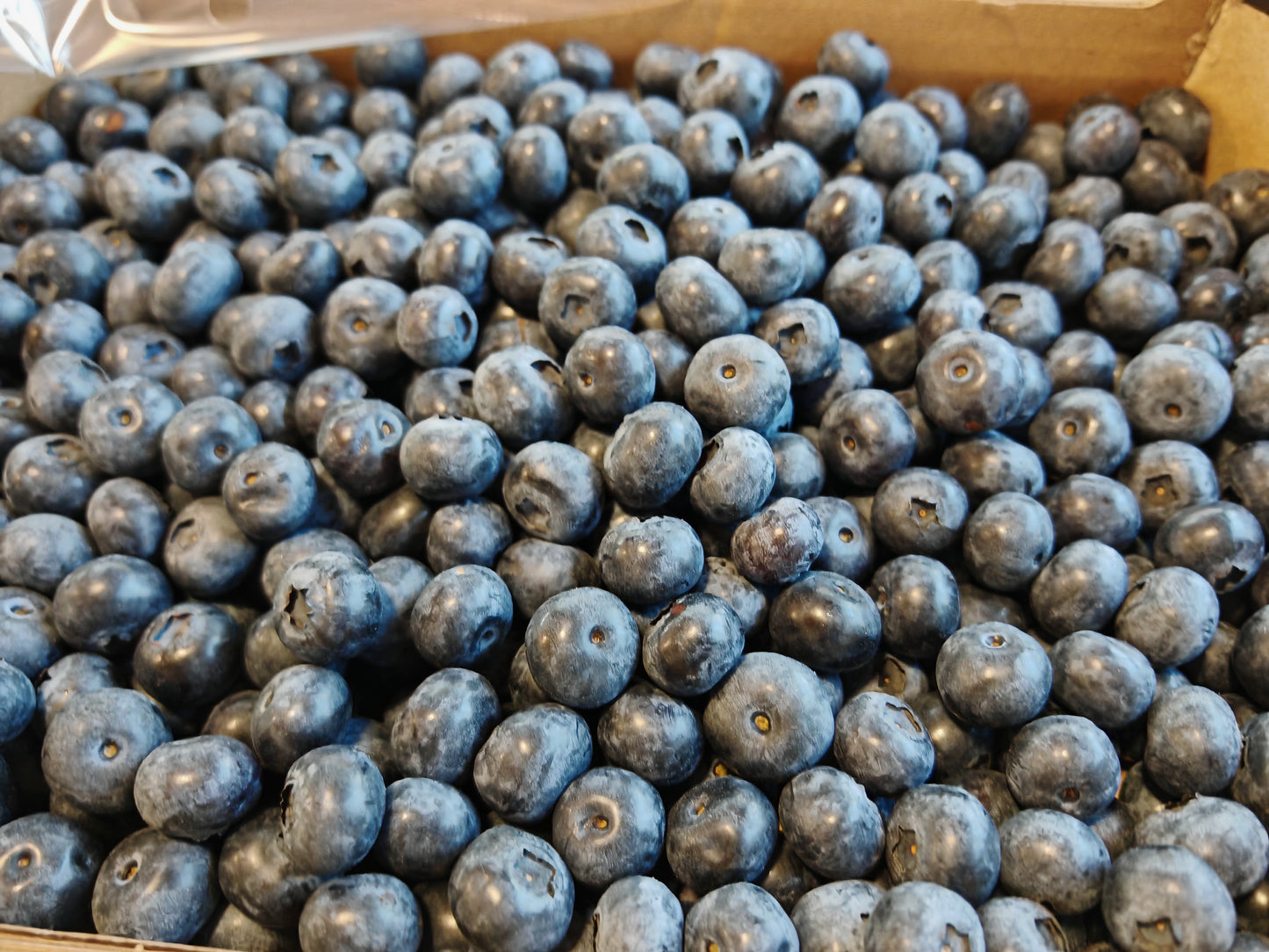Caja de arandanos premium 1 Kg