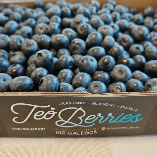 Caja de arandanos premium 1 Kg